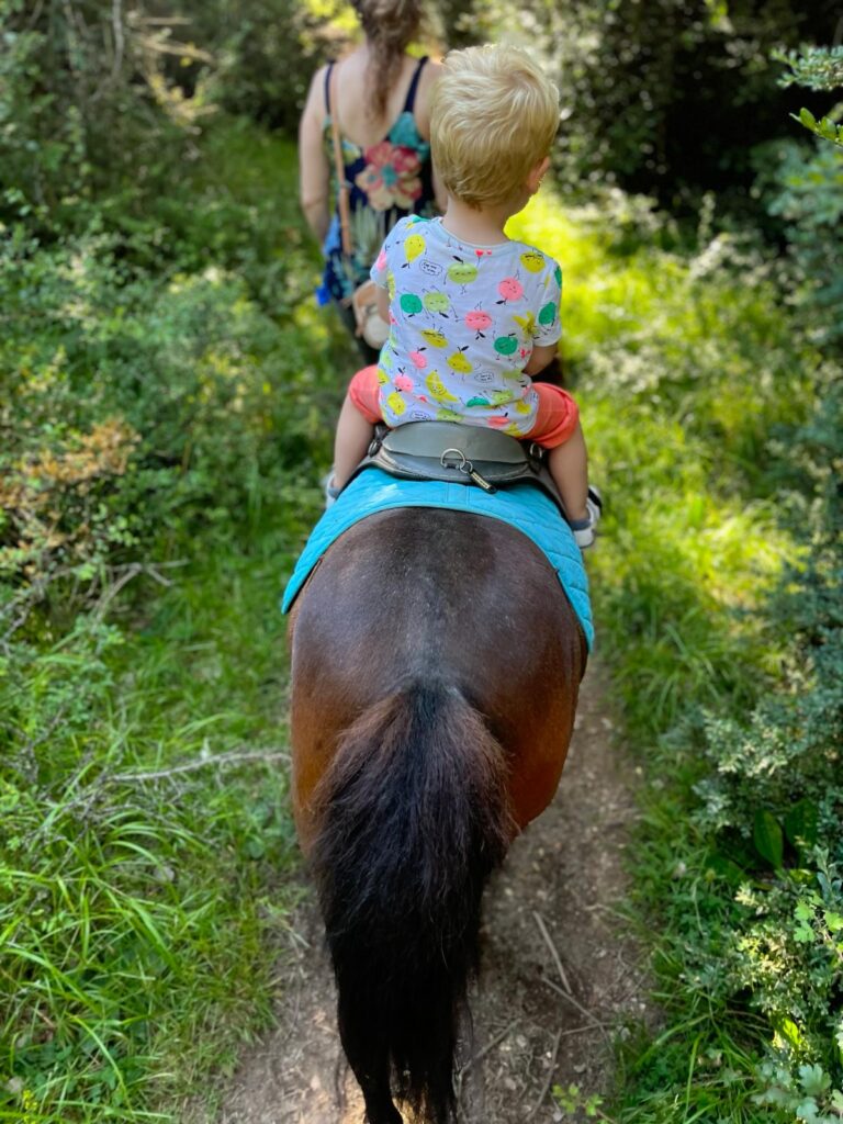 paseos a caballo