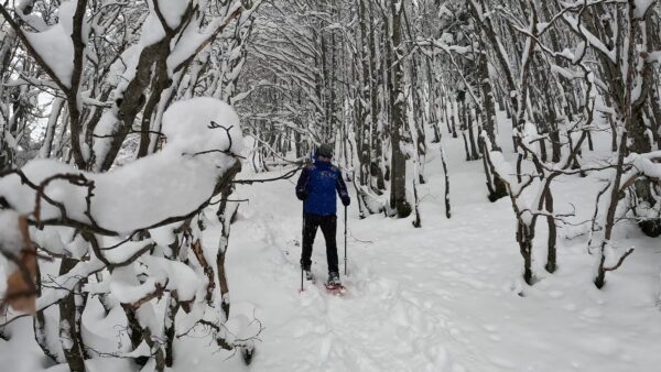 Paseando con raquetas de nieve en el bosque de Sansanet