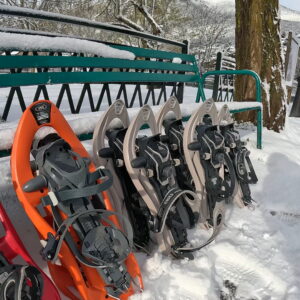 Raquetas de nieve de la marca Leki preparadas para una salida de raquetas de nieve en Jaca