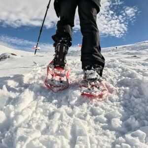 Realizando una ruta de raquetas de nieve en Formigal